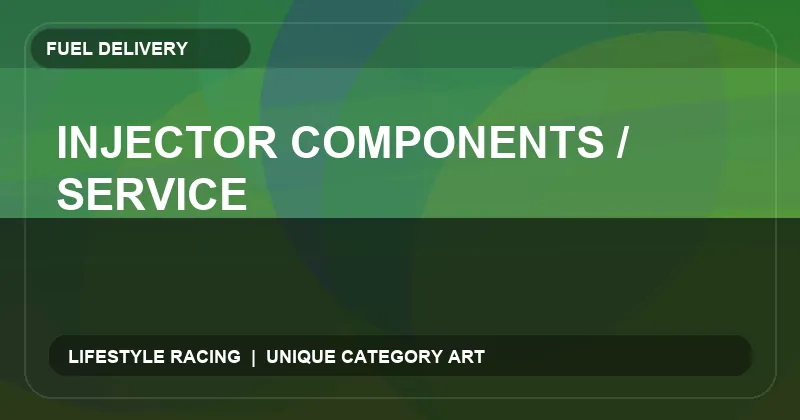 Injector Components / Service